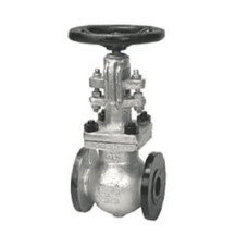 CS Cast Steel Gate Valve Flange End Rising Stem SS Parts Class-150 (Wj-Neta)
